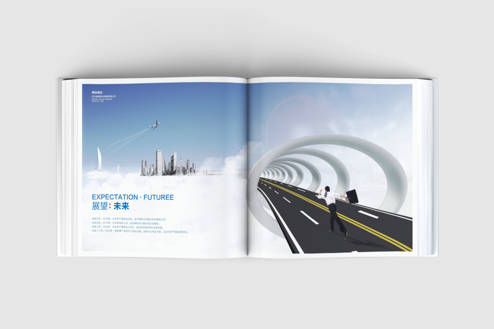 盐源县画册设计